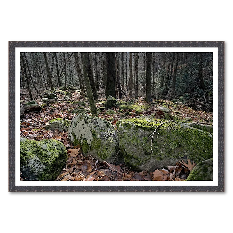 Moss-Lit Boulder Line_Framed.webp