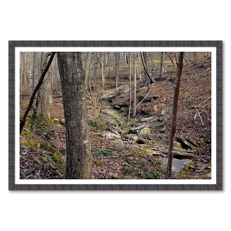 Spring Seep and Rock Run_Framed.webp