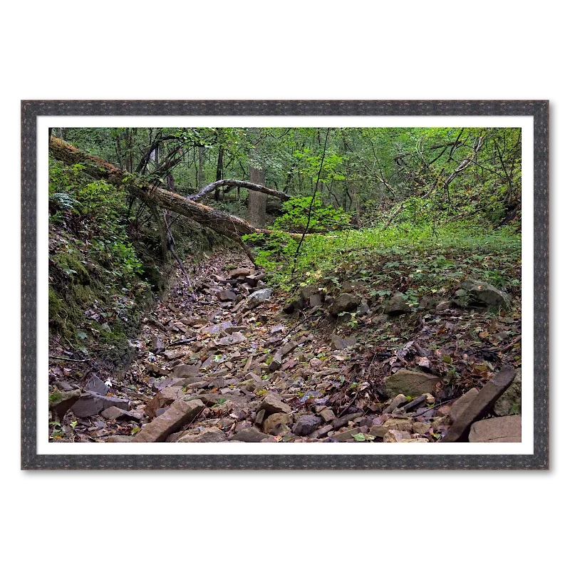 Bent Trunk Over a Dry Creek_Framed.webp