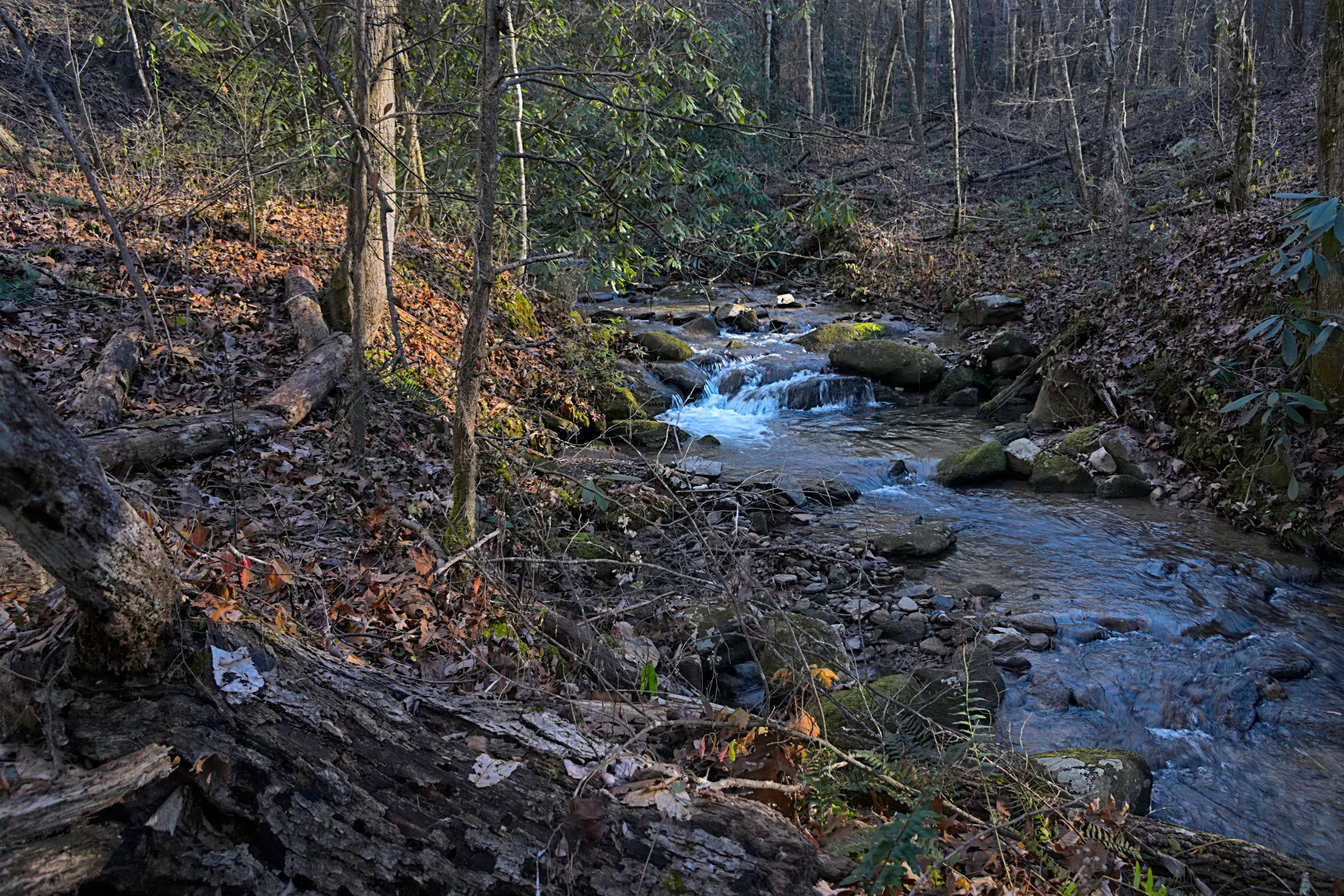 Mountain Stream in Winter Light