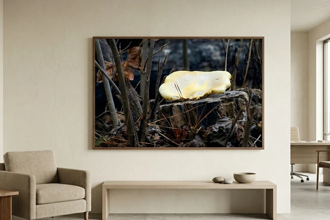 Golden Mushroom on Cut Stump - Winter Interior