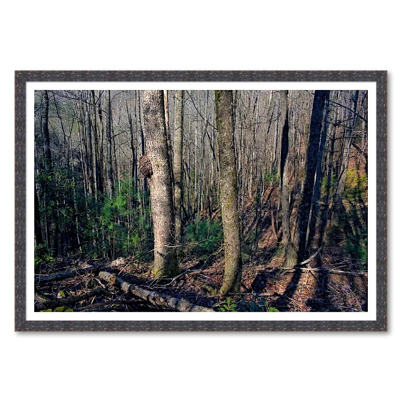 Oak Burl and Winter Drainage_Framed.webp
