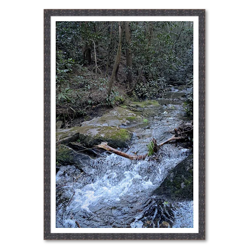 Mossed Creek Run in Early Spring_Framed.webp