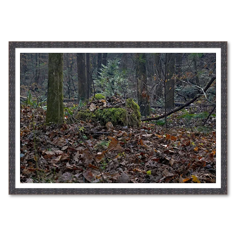 Moss-Crowned Stump_Framed.webp