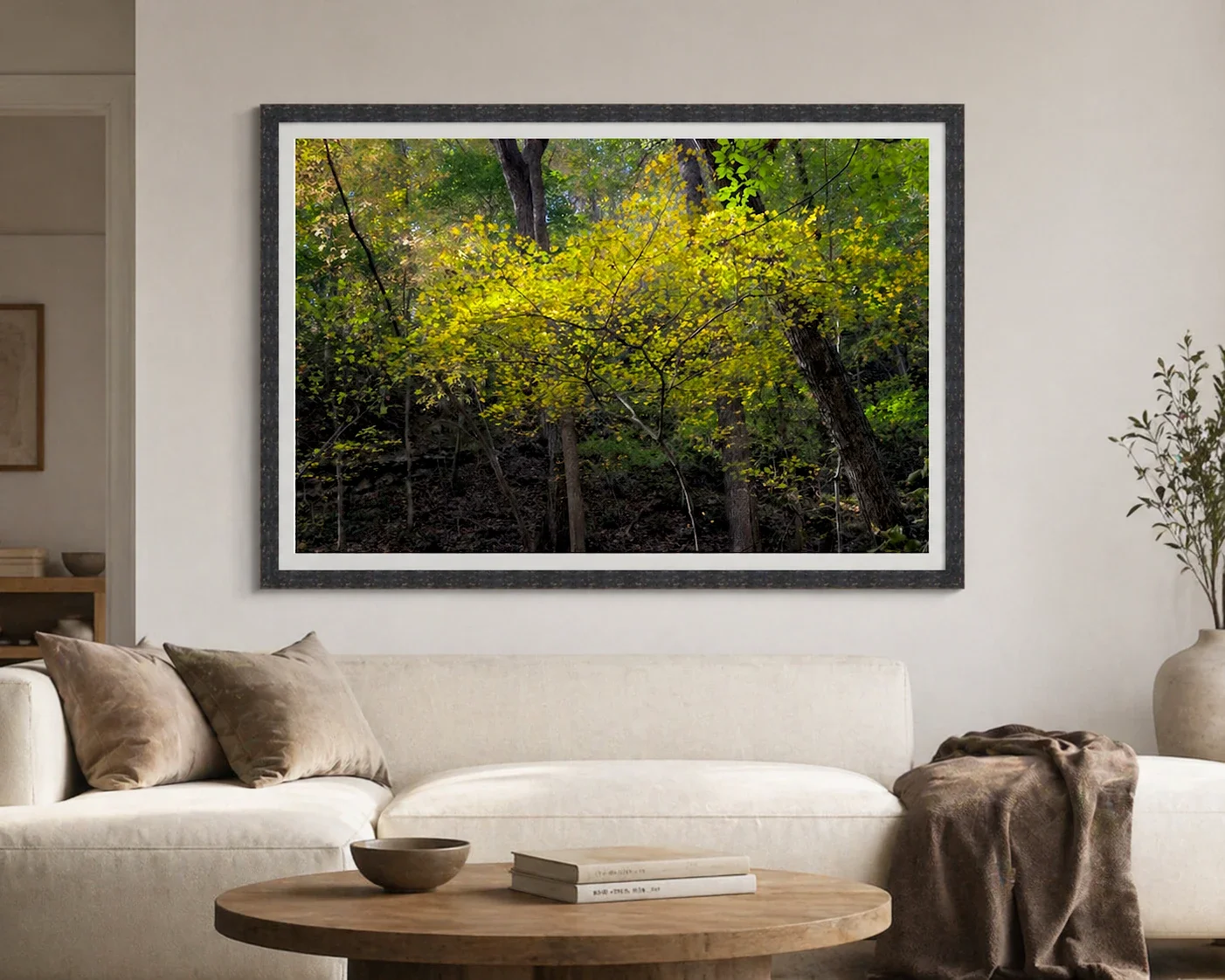 Yellow Maple Canopy