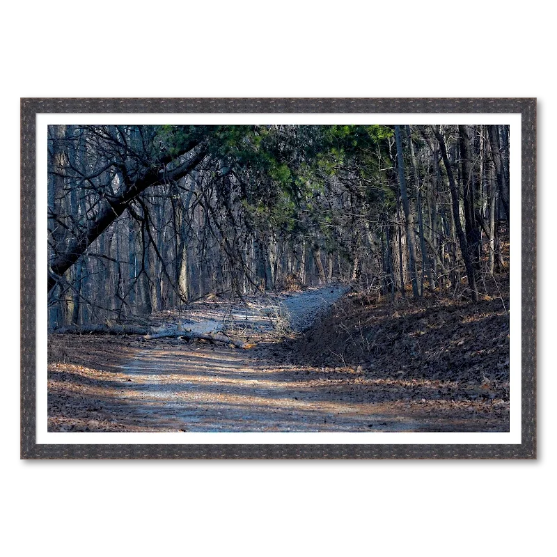 Forest Road Through Winter Forest Interior_Framed.webp