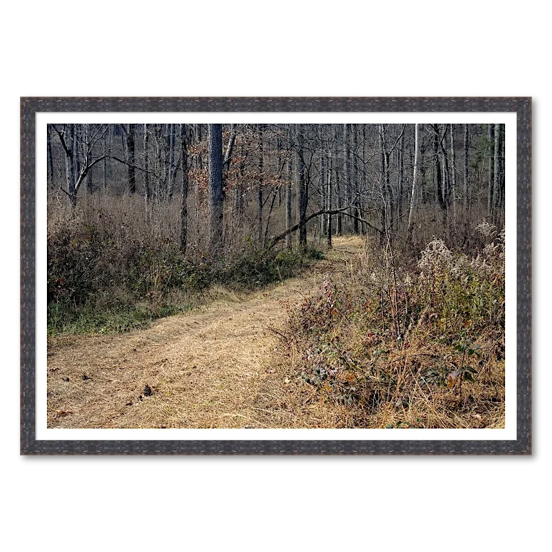 Winter Forest Path_Framed.webp