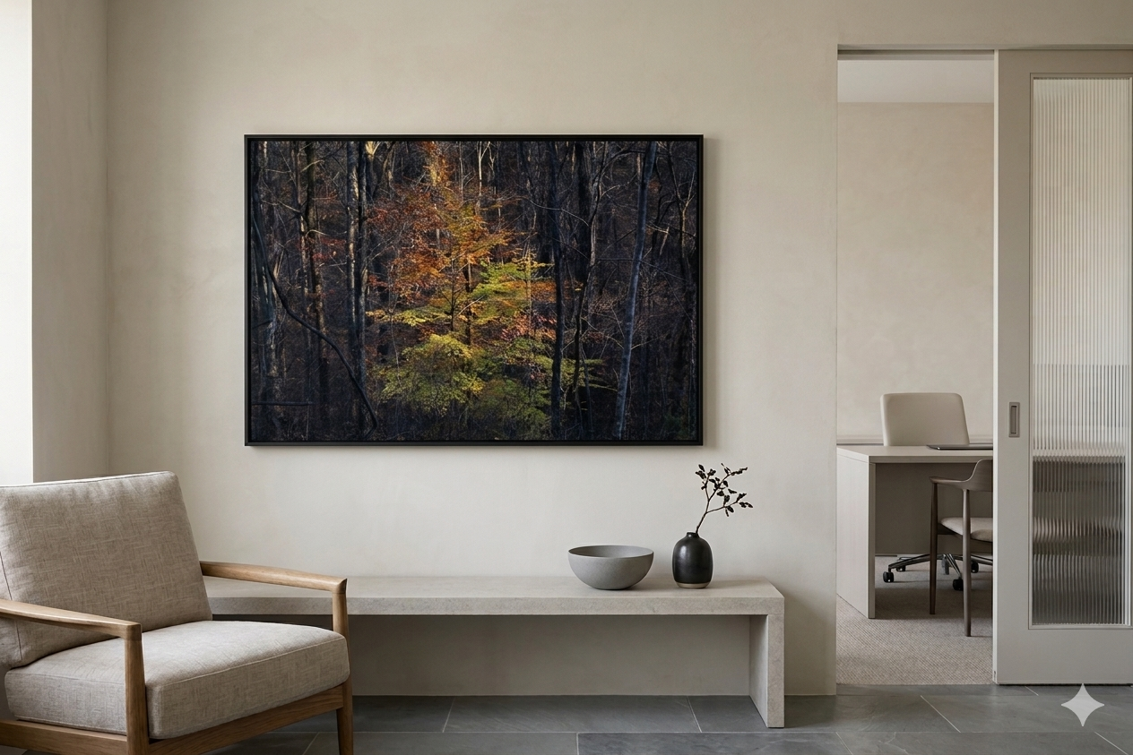 Young Beech in Late Autumn Light