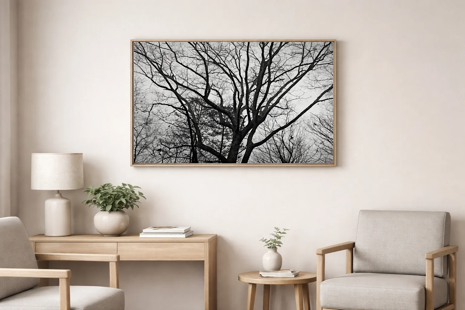 Forest Photography for Calm Professional Spaces