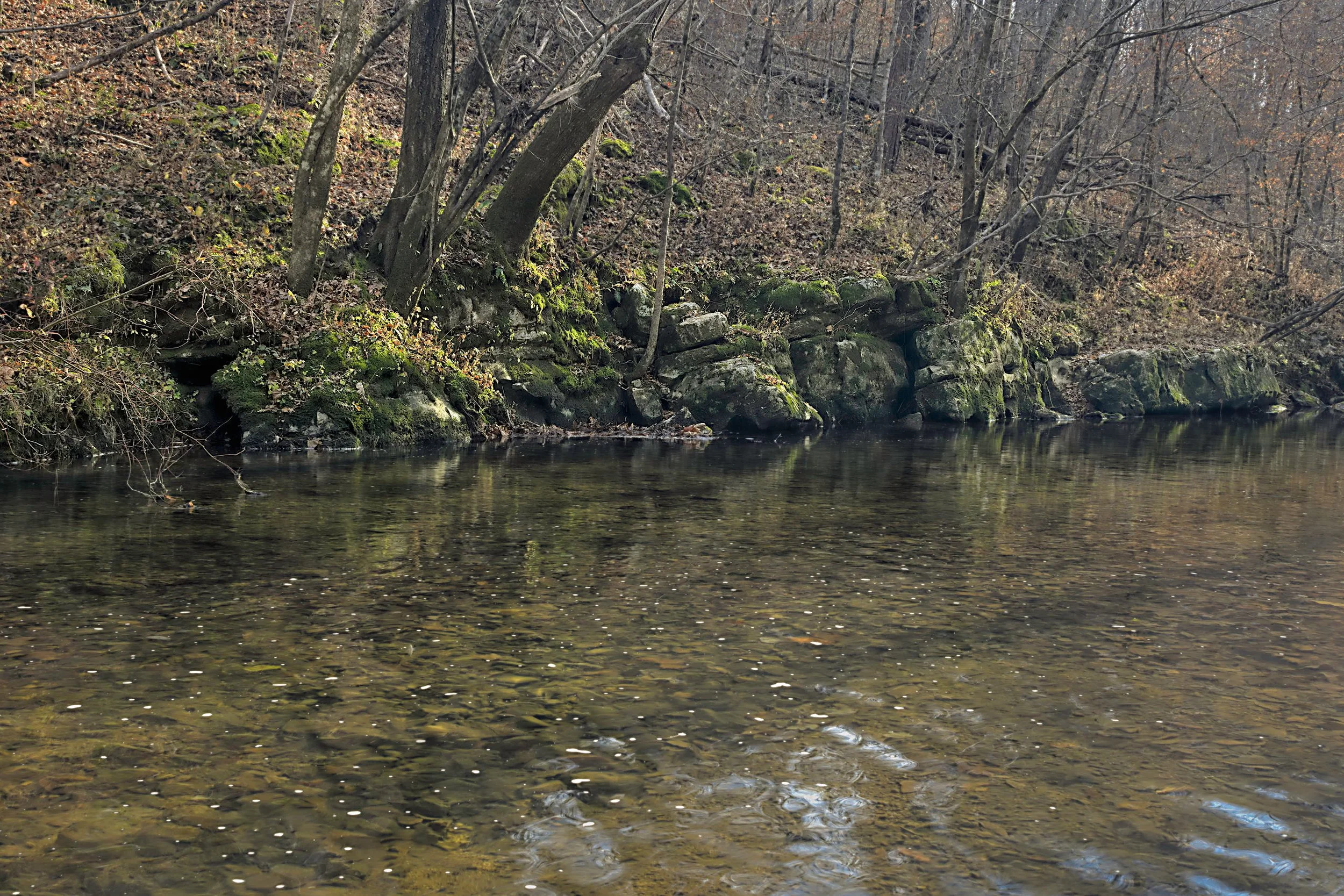 Close-up technical shot of a shallow, rocky Appalachian creek. The focus is on the rich, velvet-like textures of moss and lichen on a stacked stone bank under late autumn light.