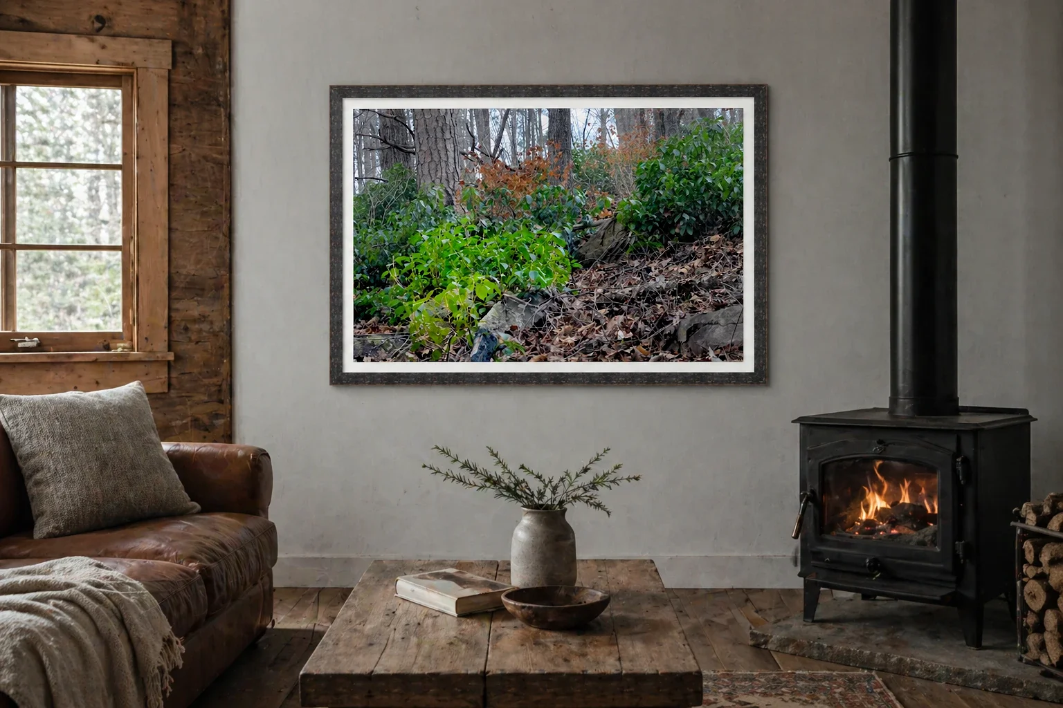 Appalachian Forest Understory in Winter