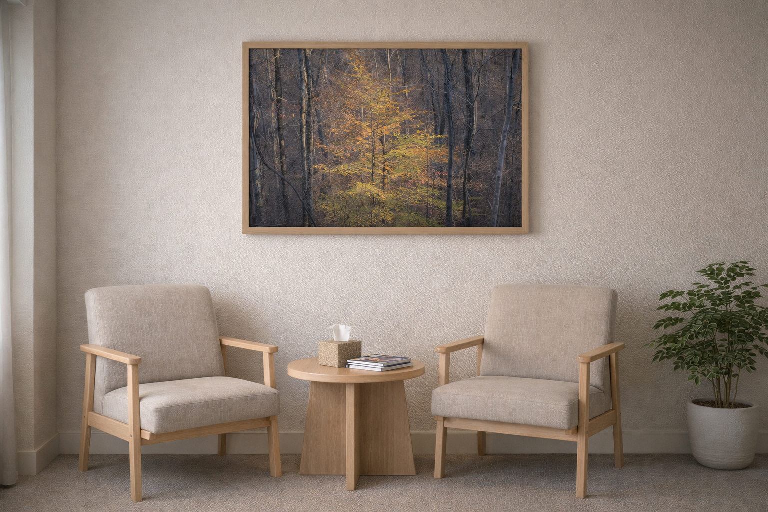 Young Beech in Late Autumn Light