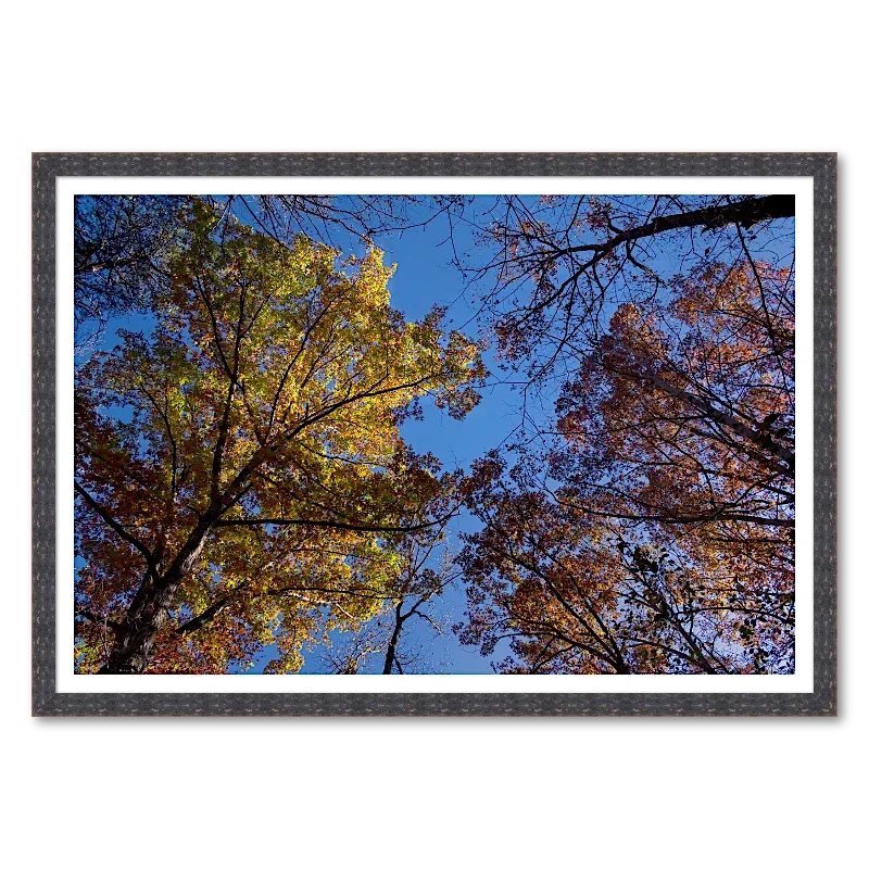 Autumn Canopy Convergence_Framed.webp