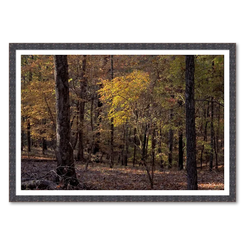Autumn Light_Framed.webp
