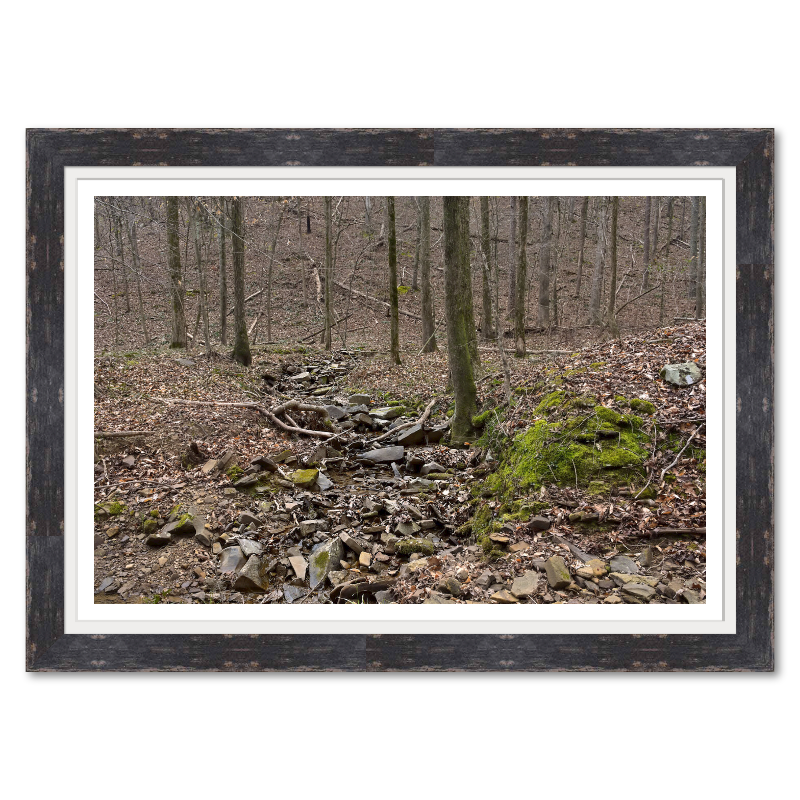 Creek Through Moss and Stone_Framed.png