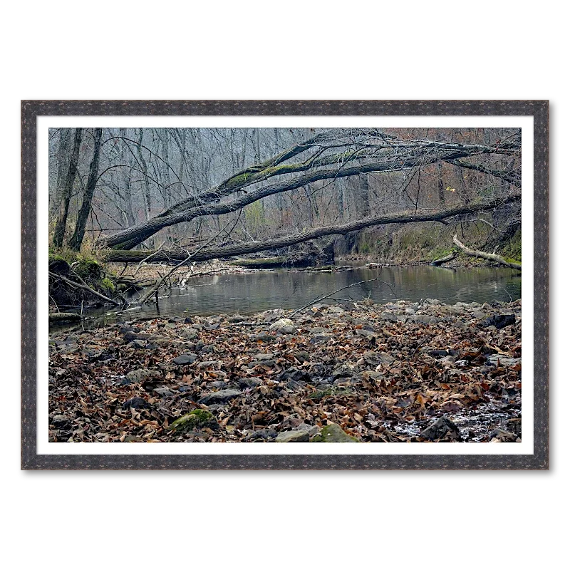 Tree Fallen Across Quiet Water_Framed.webp