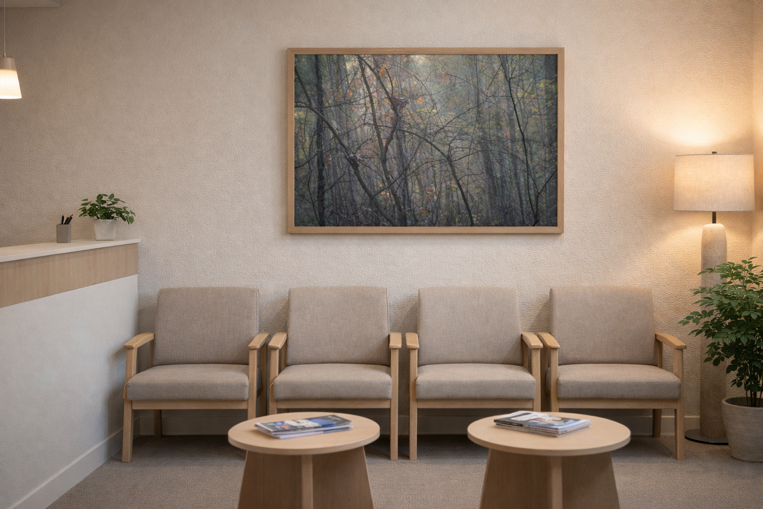 Backlit Branches in Morning Forest Light