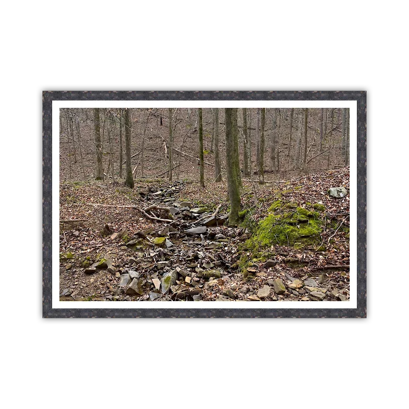 Creek Through Moss and Stone_Framed.webp