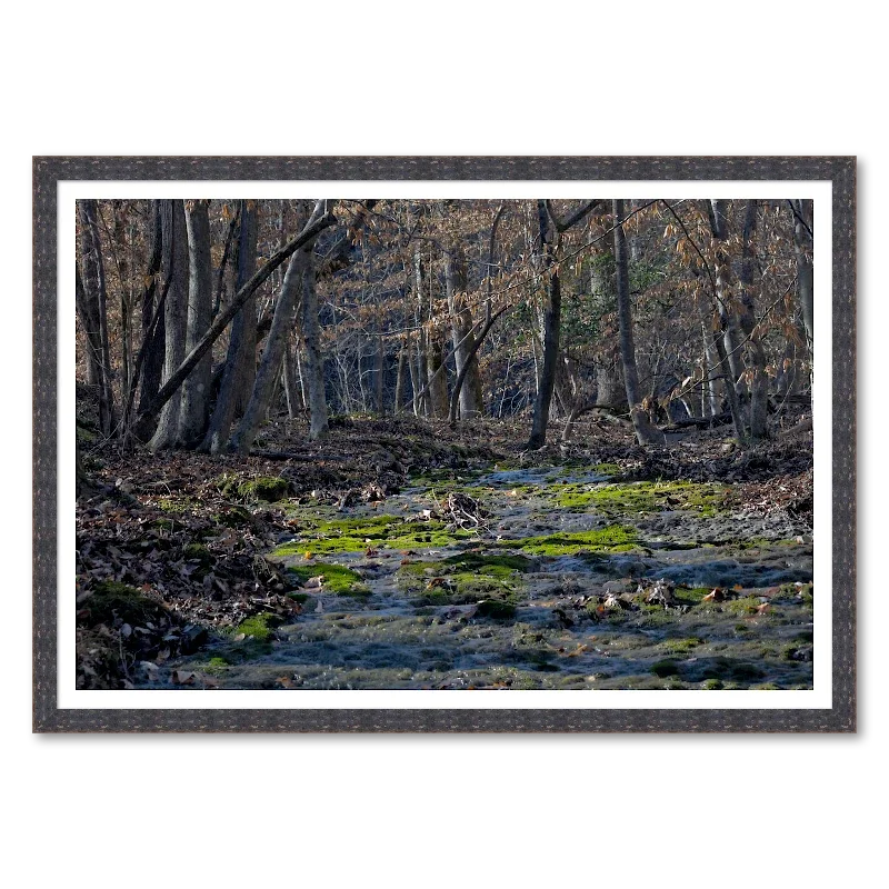 Moss-Lined Creek - Winter Light_Framed.webp