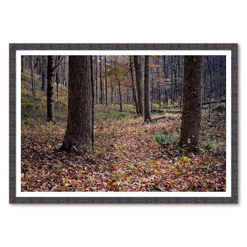 Forest Floor and Trunks_Framed.webp