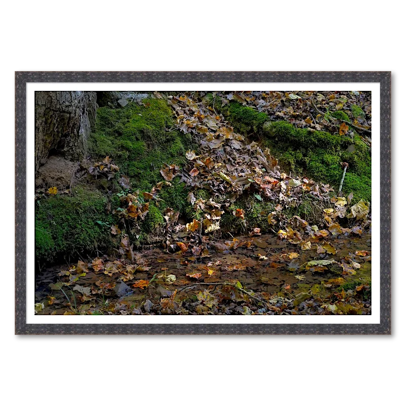 Autumn Leaves by a Creek_Framed.webp