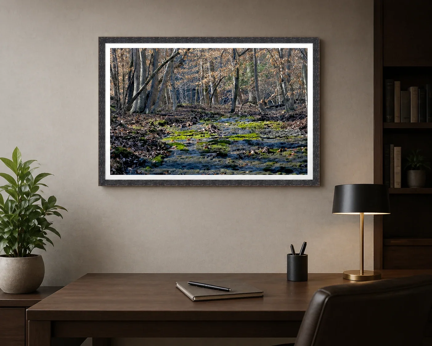 Moss-Lined Creek - Winter Light