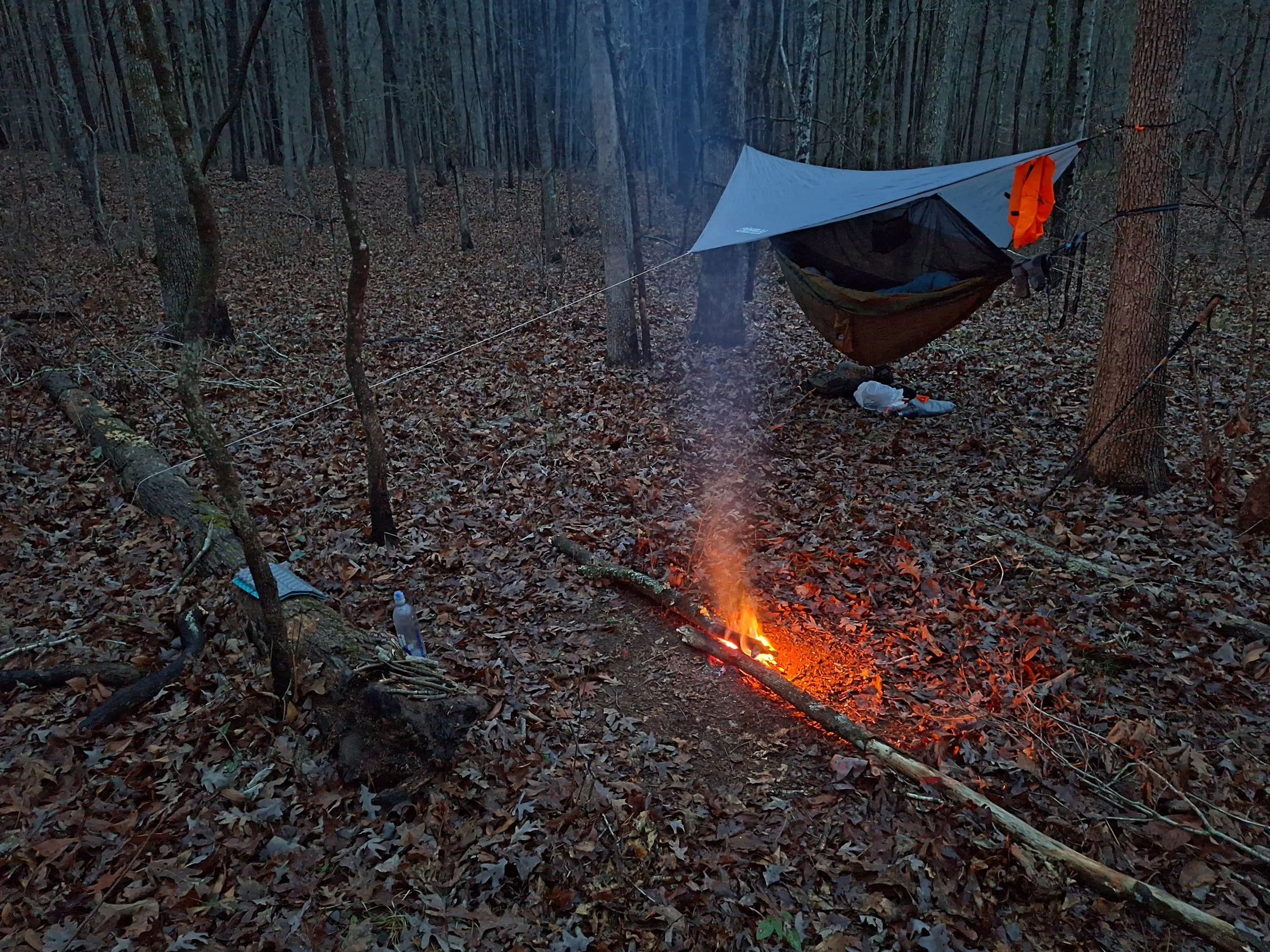 A camp setup in a forest with a tarp, hammock, fire, and camping gear among trees and fallen leaves.