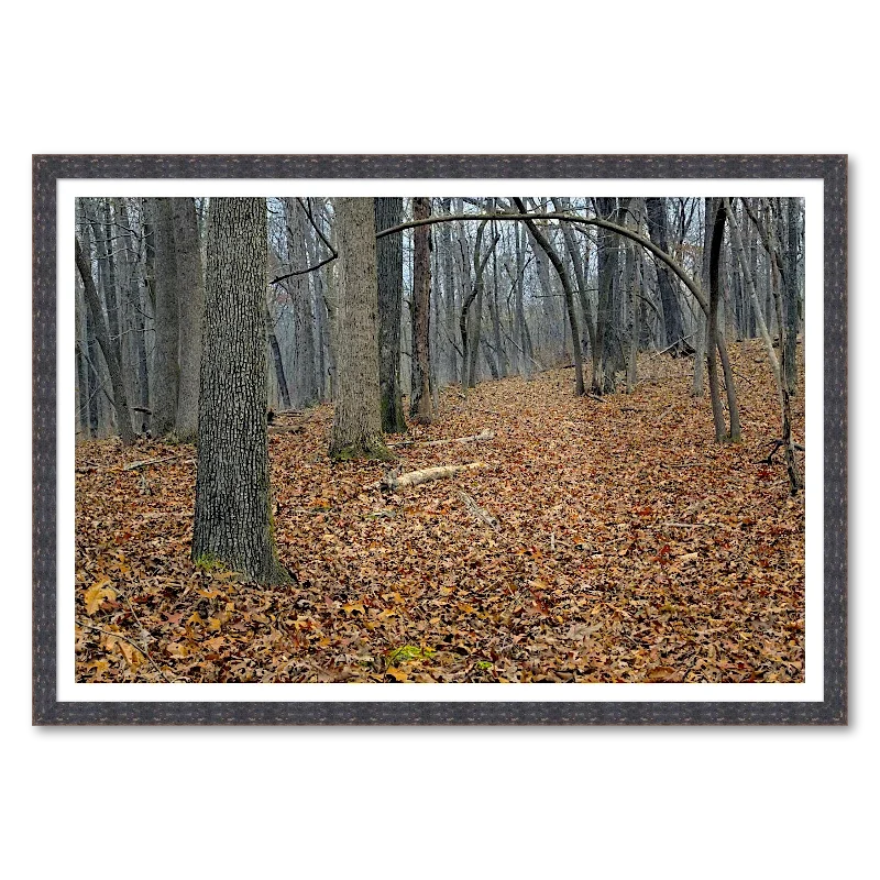 Bent Sapling on a Winter Hillside_Framed.webp