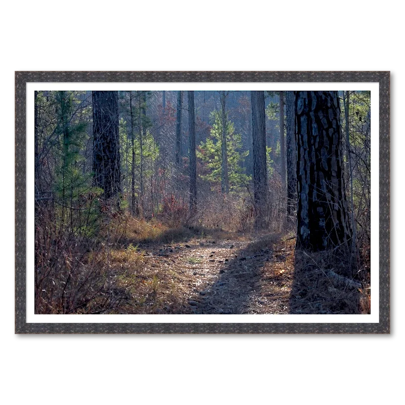 Trail in Winter Light_Framed.webp