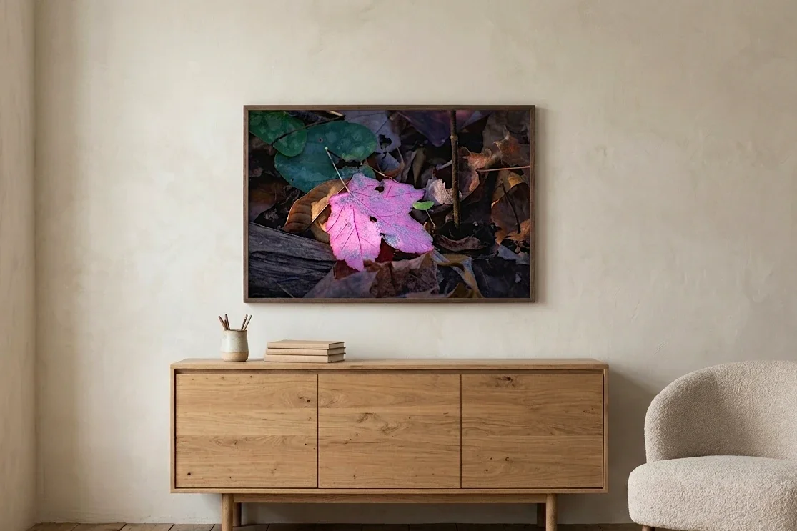 Getting the Size Right: A Practical Guide to Picking a Print