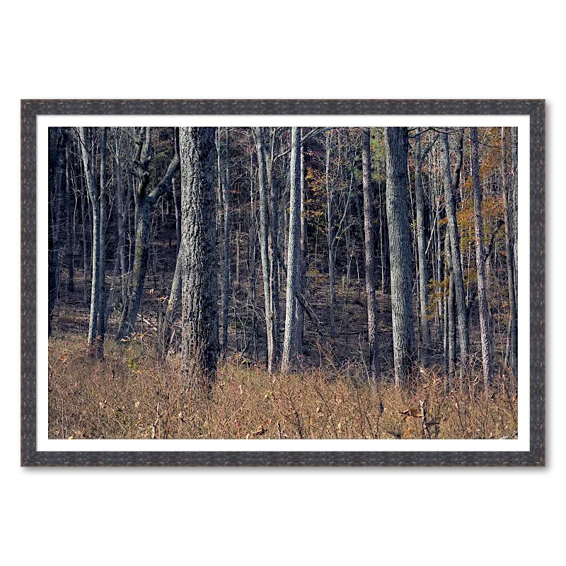 Into the Forest_Framed.webp