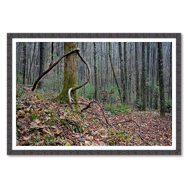 Twisted Vine on Hillside Oak_Framed.webp