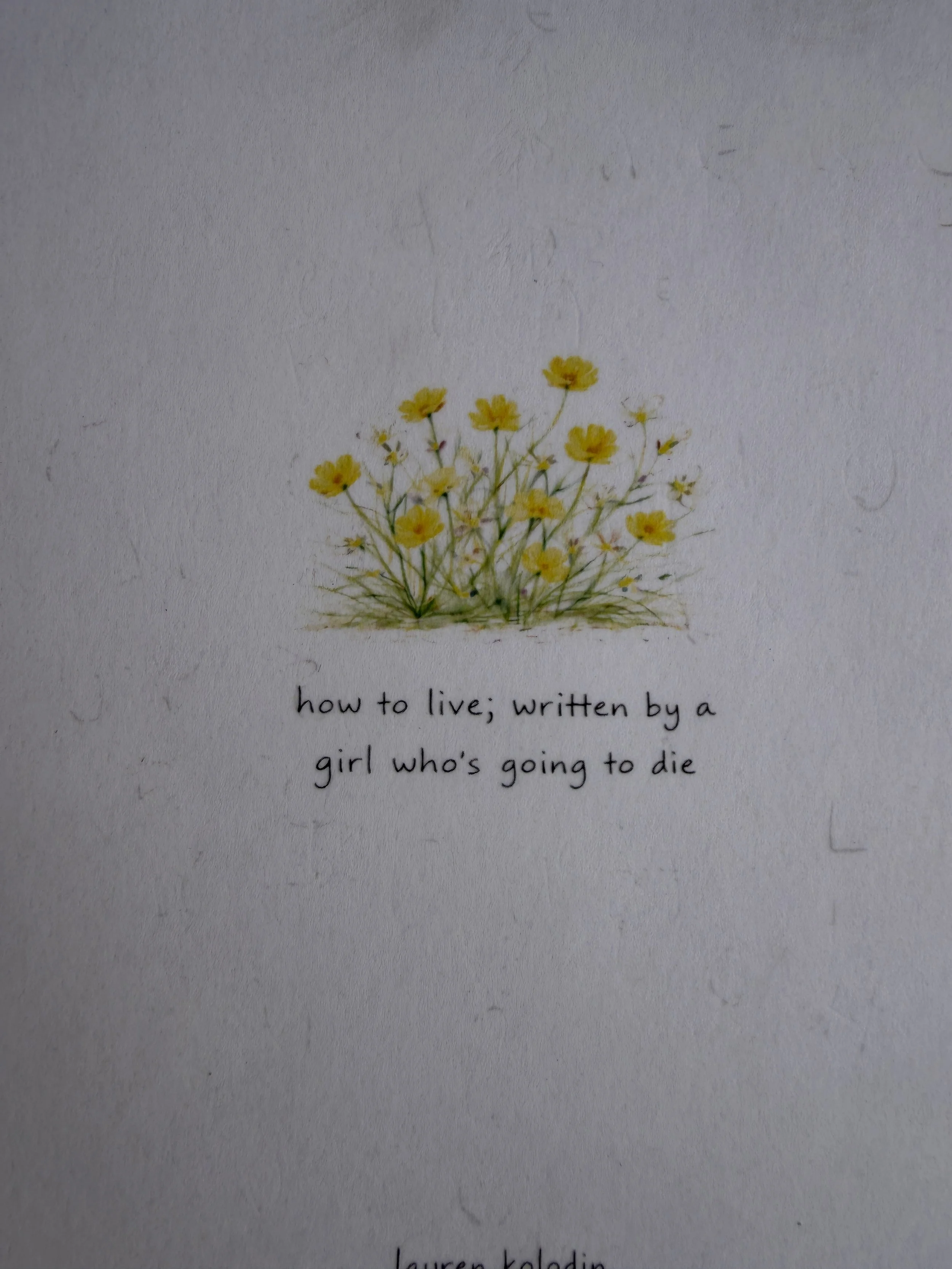 Life, Measured in Depth: A Conversation with Lauren Kolodin.