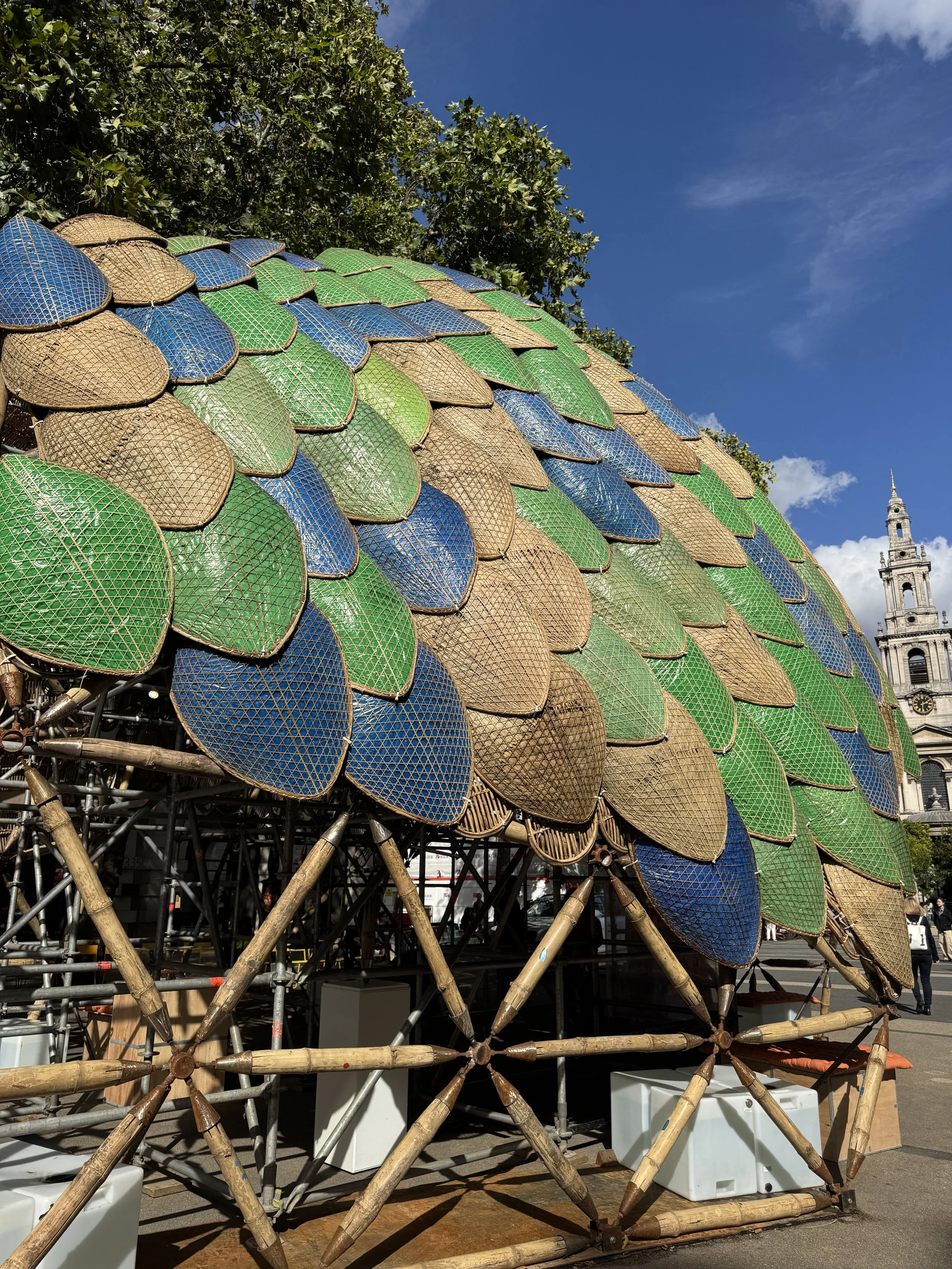 Pangolin shield canopy 2.jpg