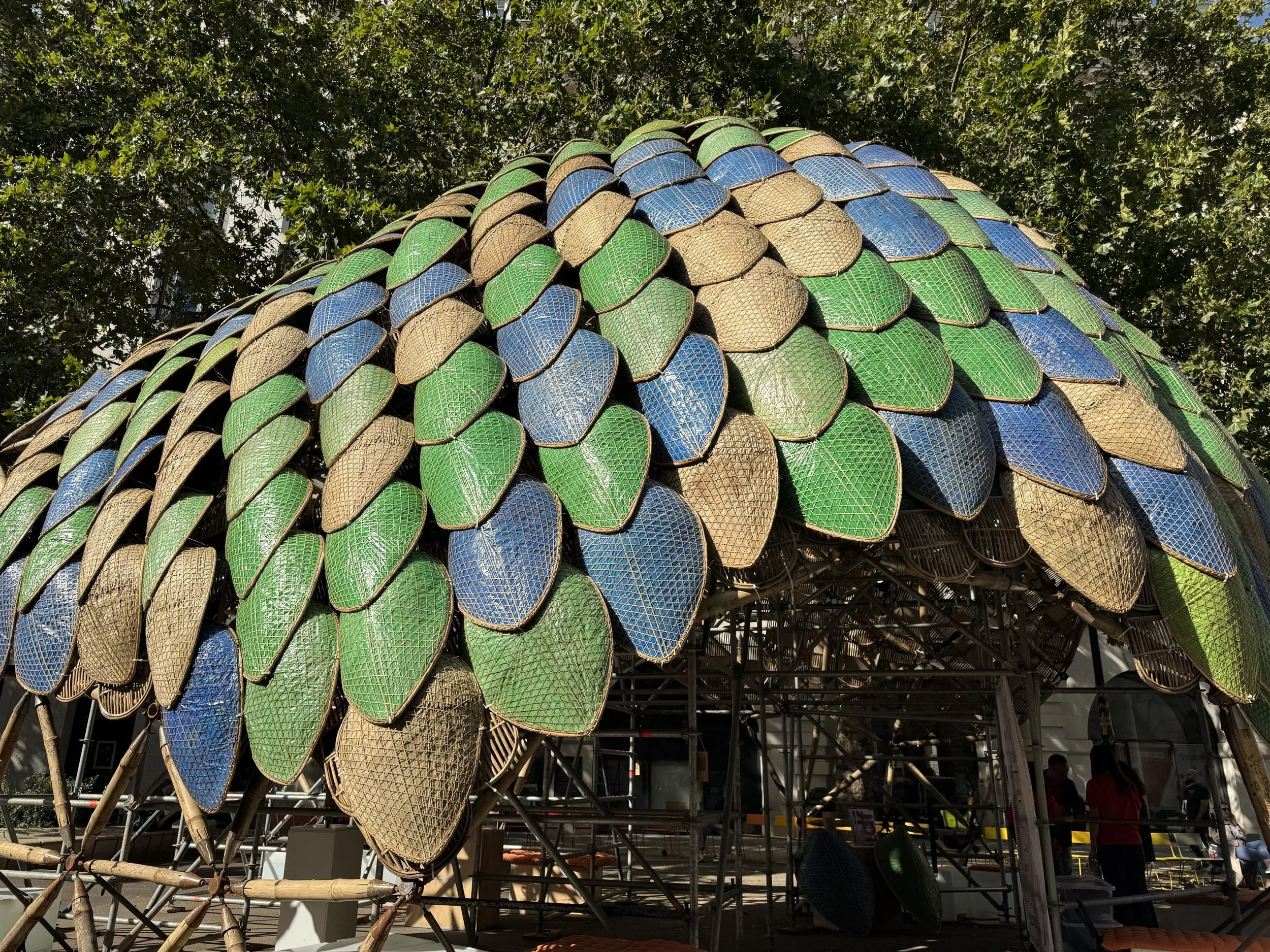 Pangolin shield canopy.jpeg