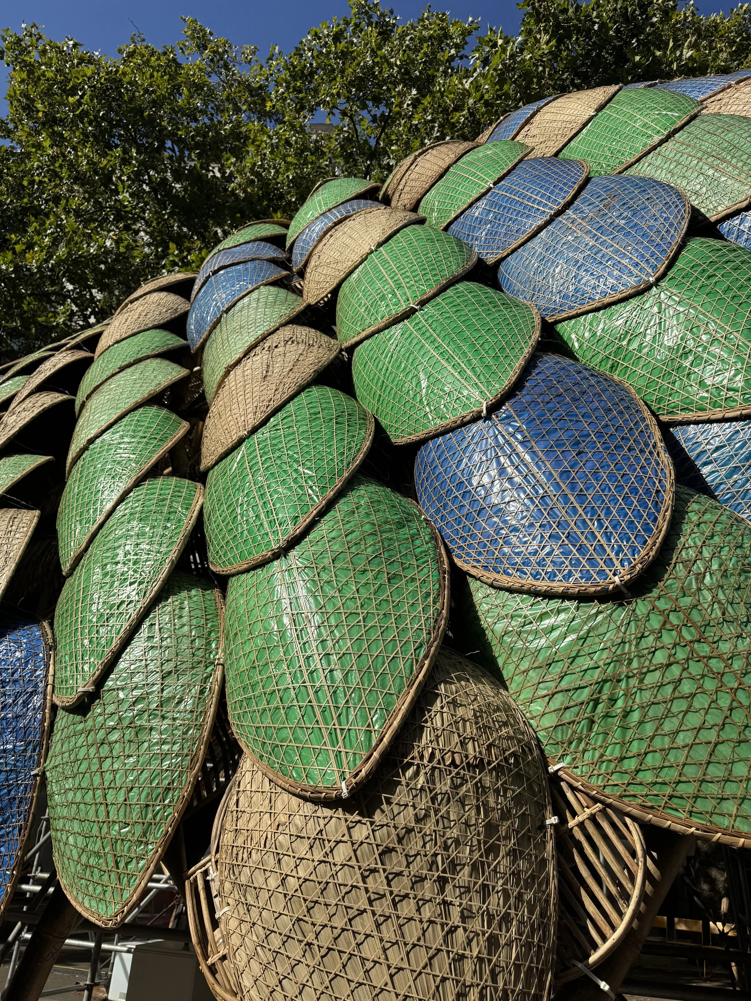 Pangolin Shield Close.jpeg