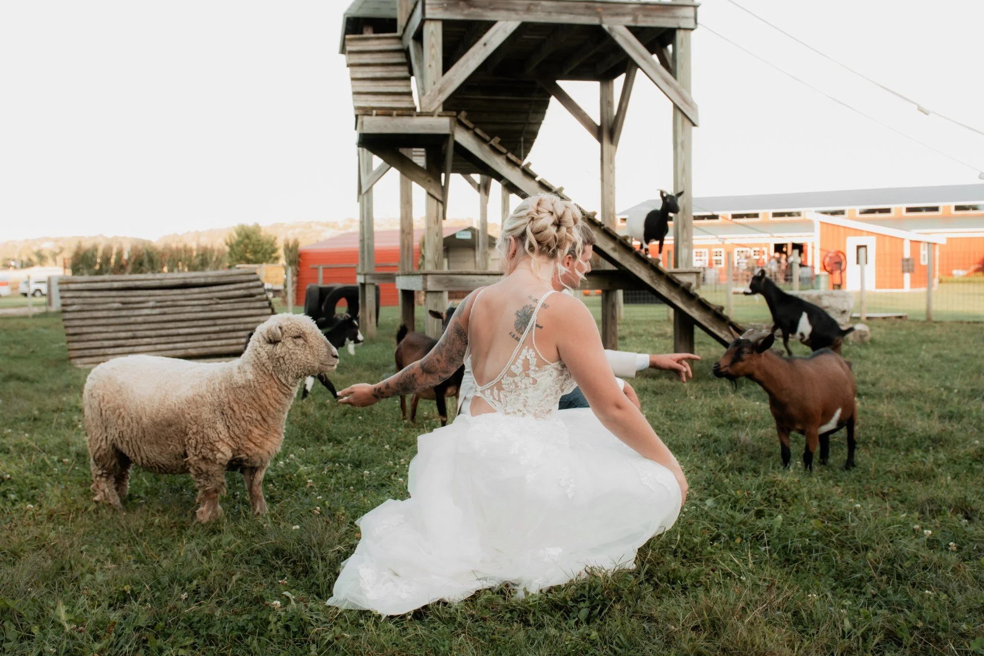 7befa325-3e5e-4a0e-aedf-f41eb7bc6d96.jfif