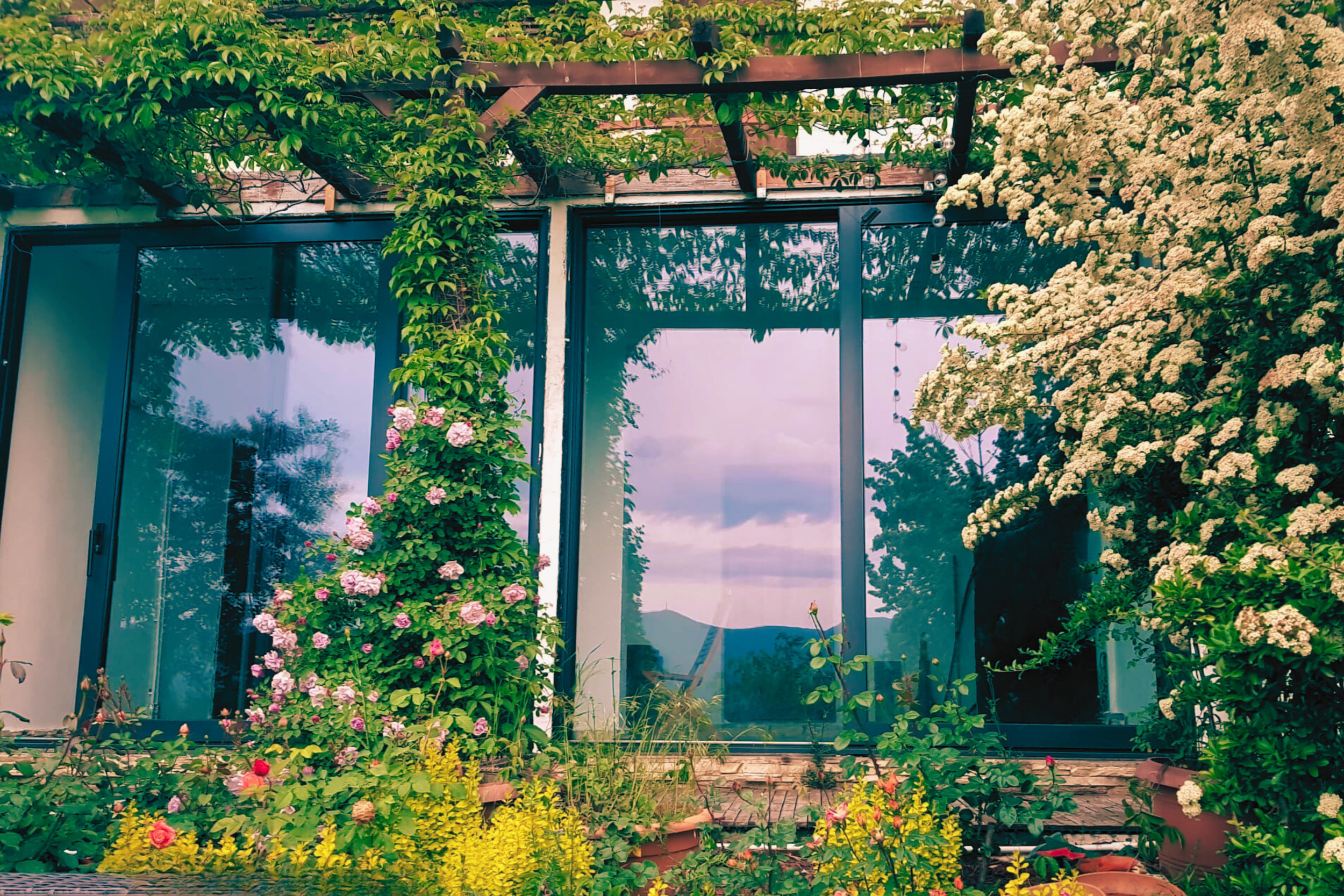A modern house window with large glass panels surrounded by lush green plants and flowering vines, overlooking a scenic outdoor landscape with mountains and cloudy sky.