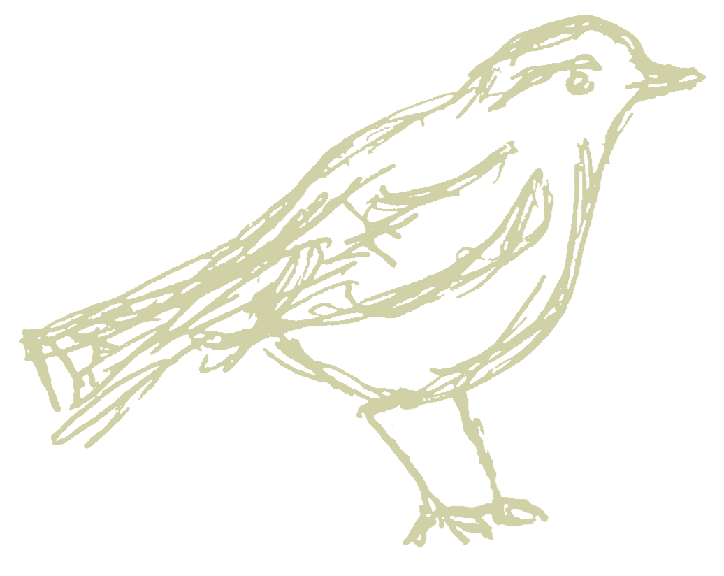 Line drawing of a bird perched on a branch against a black background.