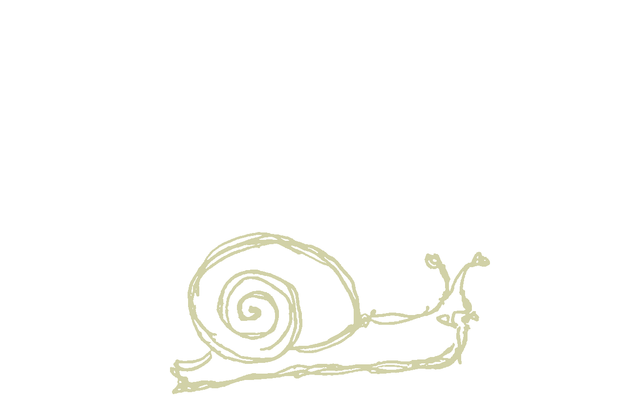 Illustration of a snail with a coiled shell and two antennae on a black background.