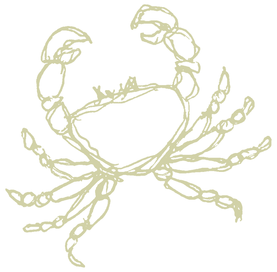 Outline drawing of a crab with raised claws and multiple legs on a black background.