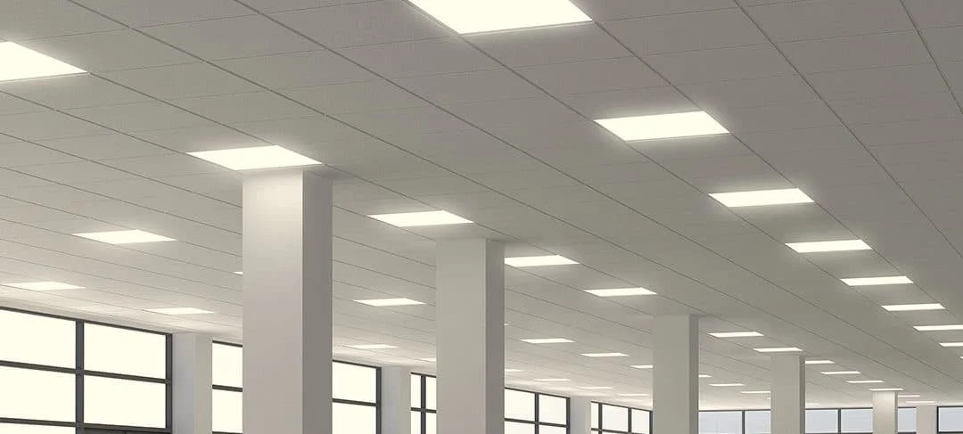Ceiling with rectangular fluorescent lights in a large, open indoor space with tall windows.