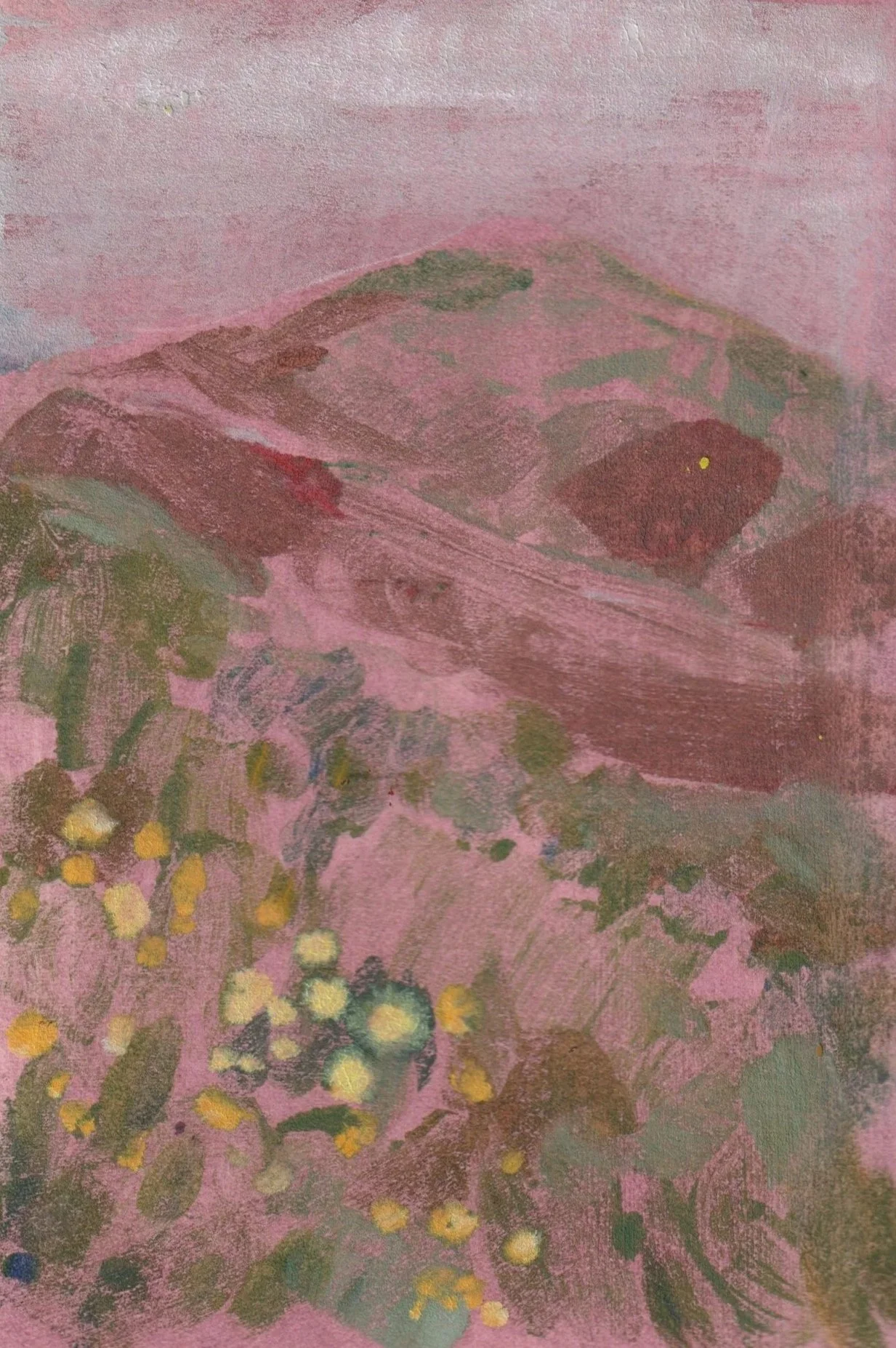 Merlot Hills