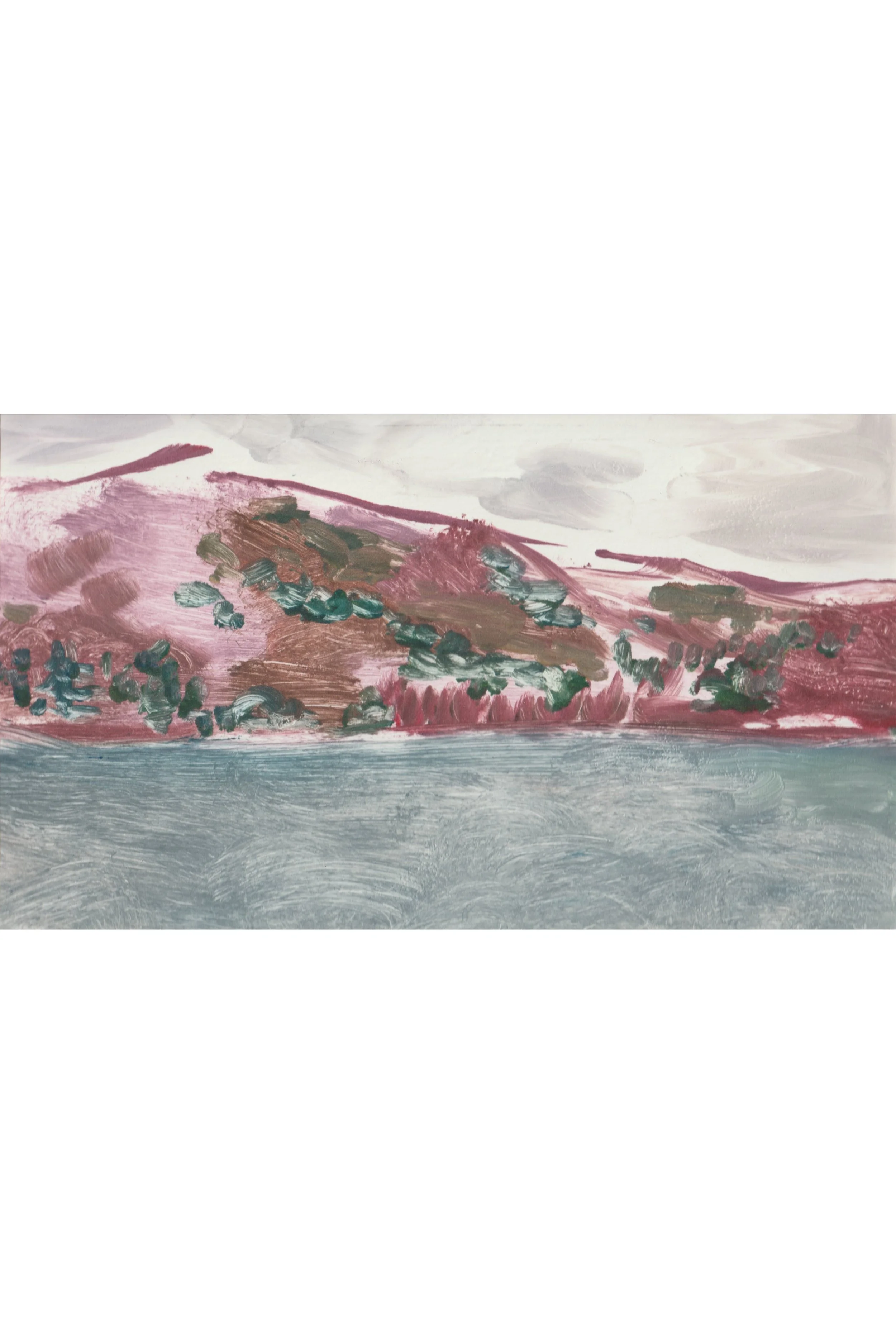 Mawddach View I