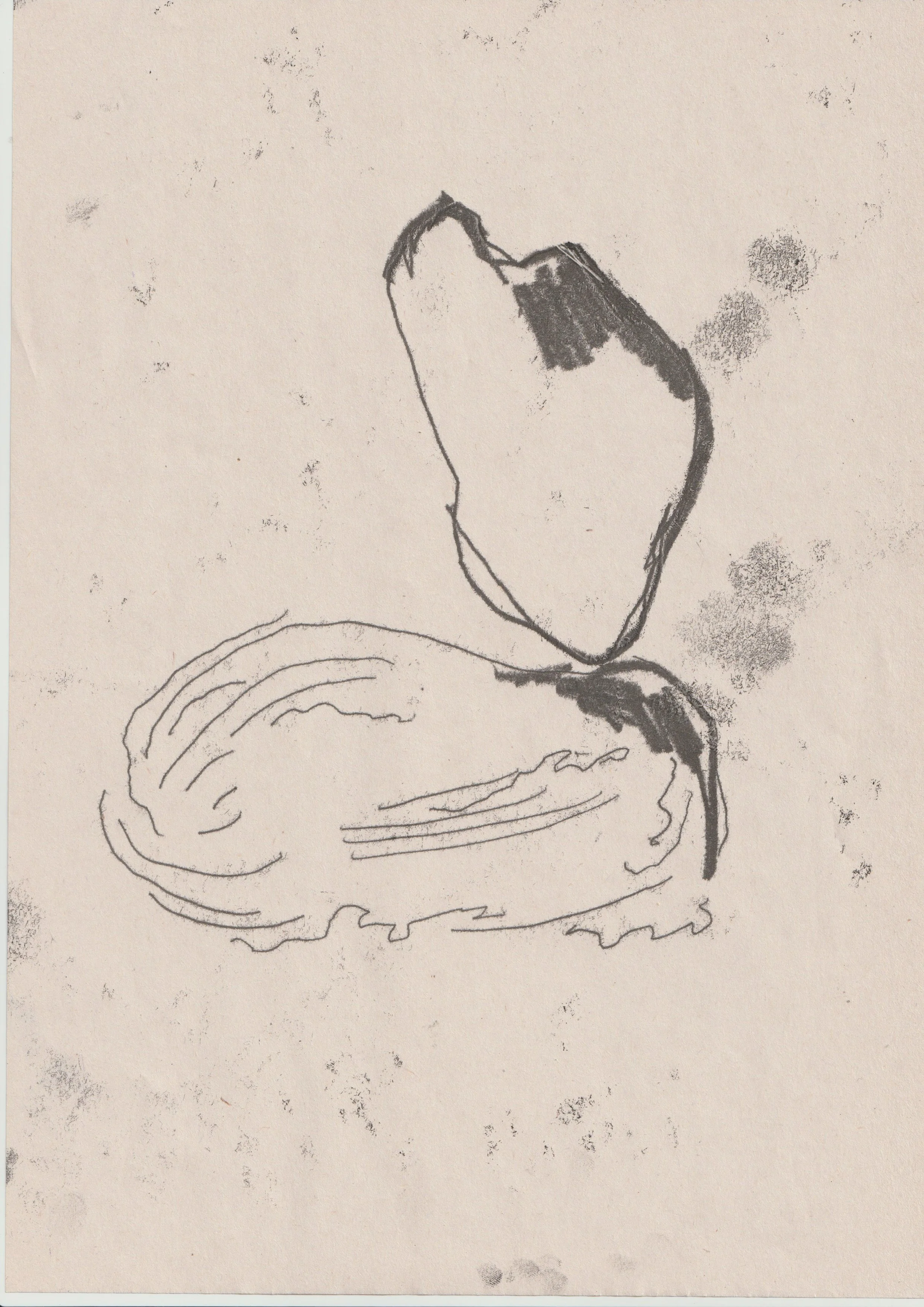 Natasha Motaghi, With my bare hands, A4,, Ink on Newsprint, 2023, £225  .jpg.jpeg