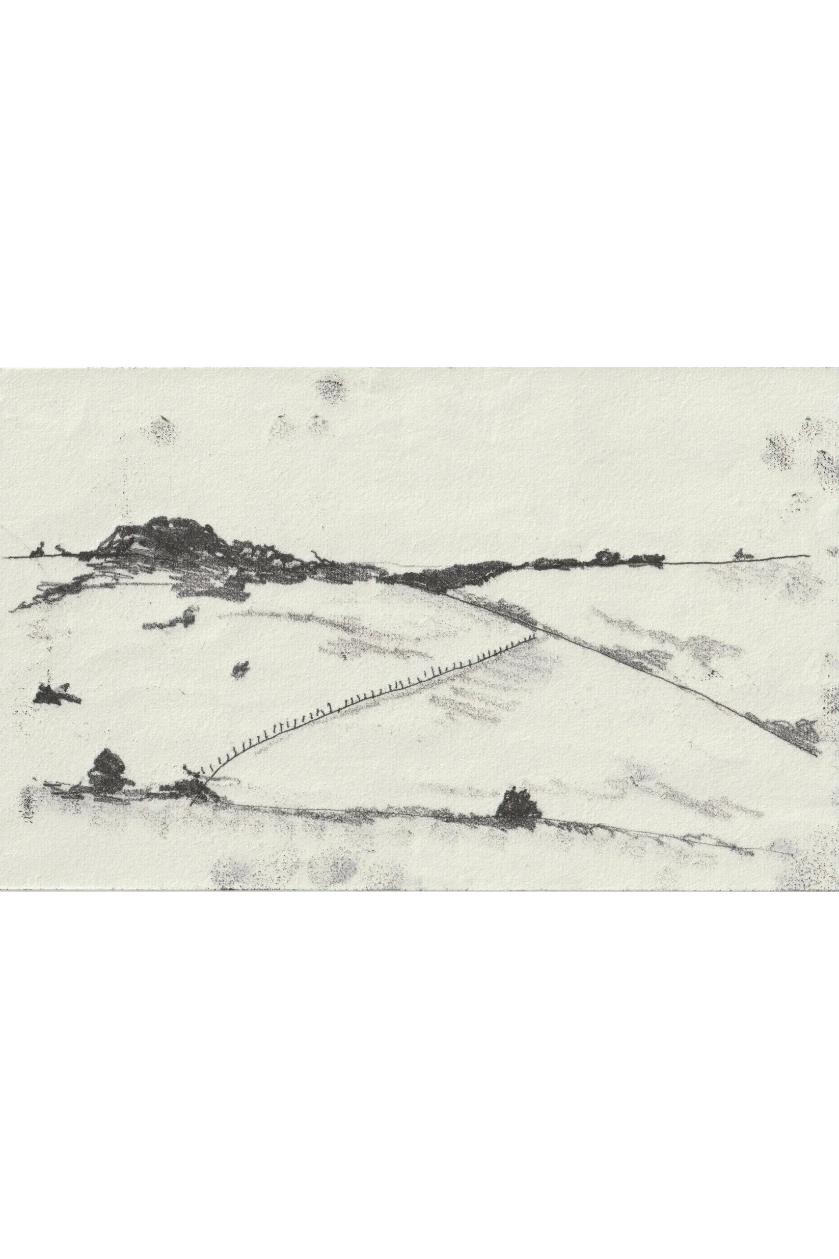 A Whole Field I