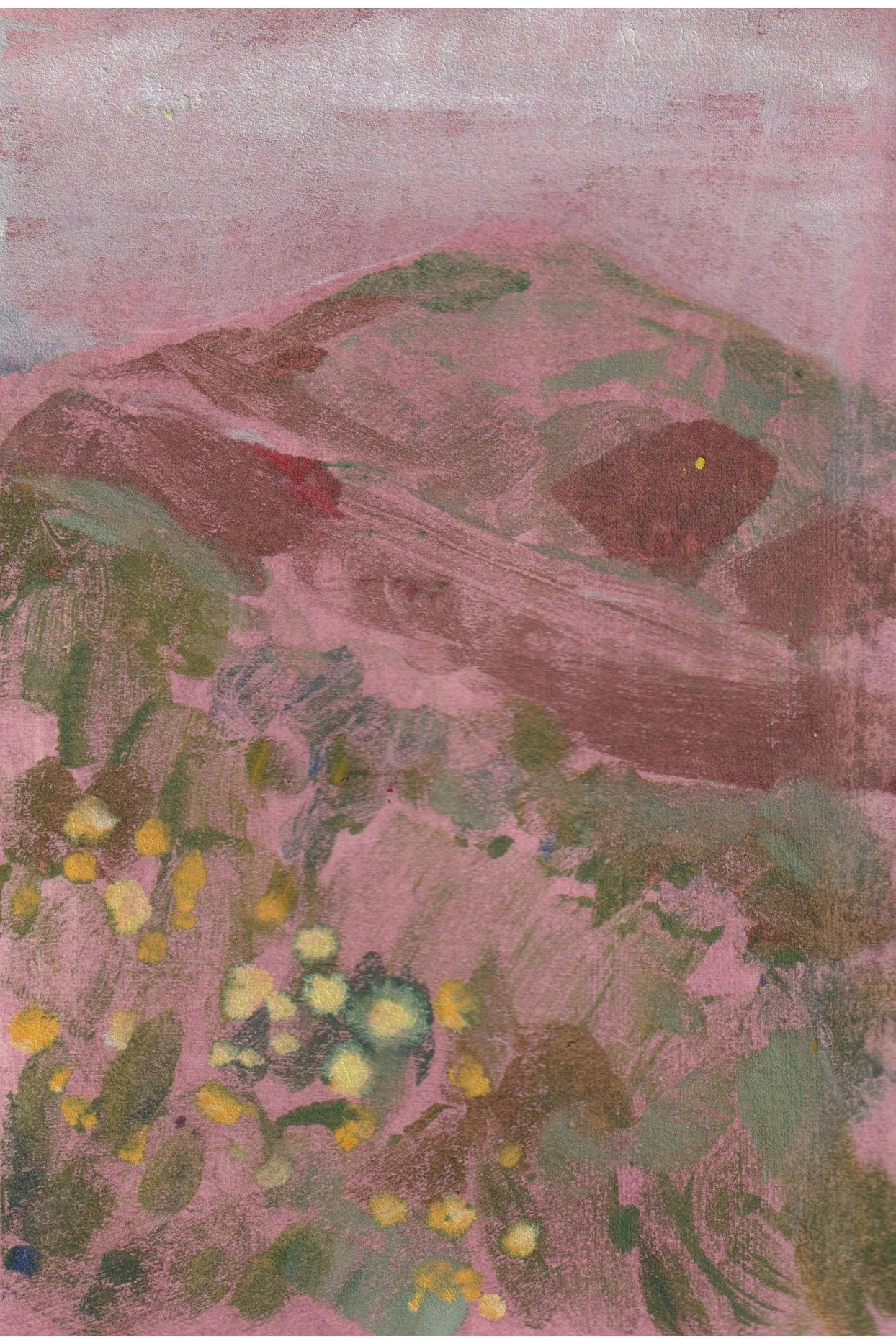 Merlot Hills