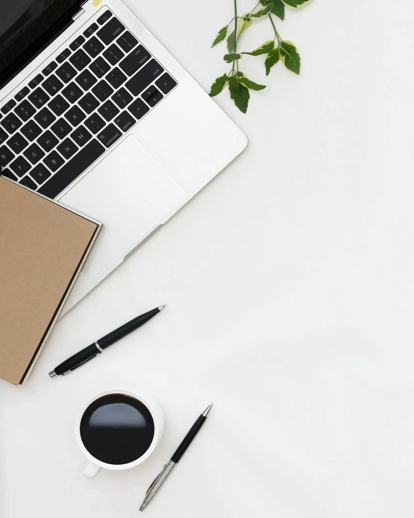 Imagem de uma mesa de trabalho com laptop, caderno, canetas, uma xícara de café e uma planta