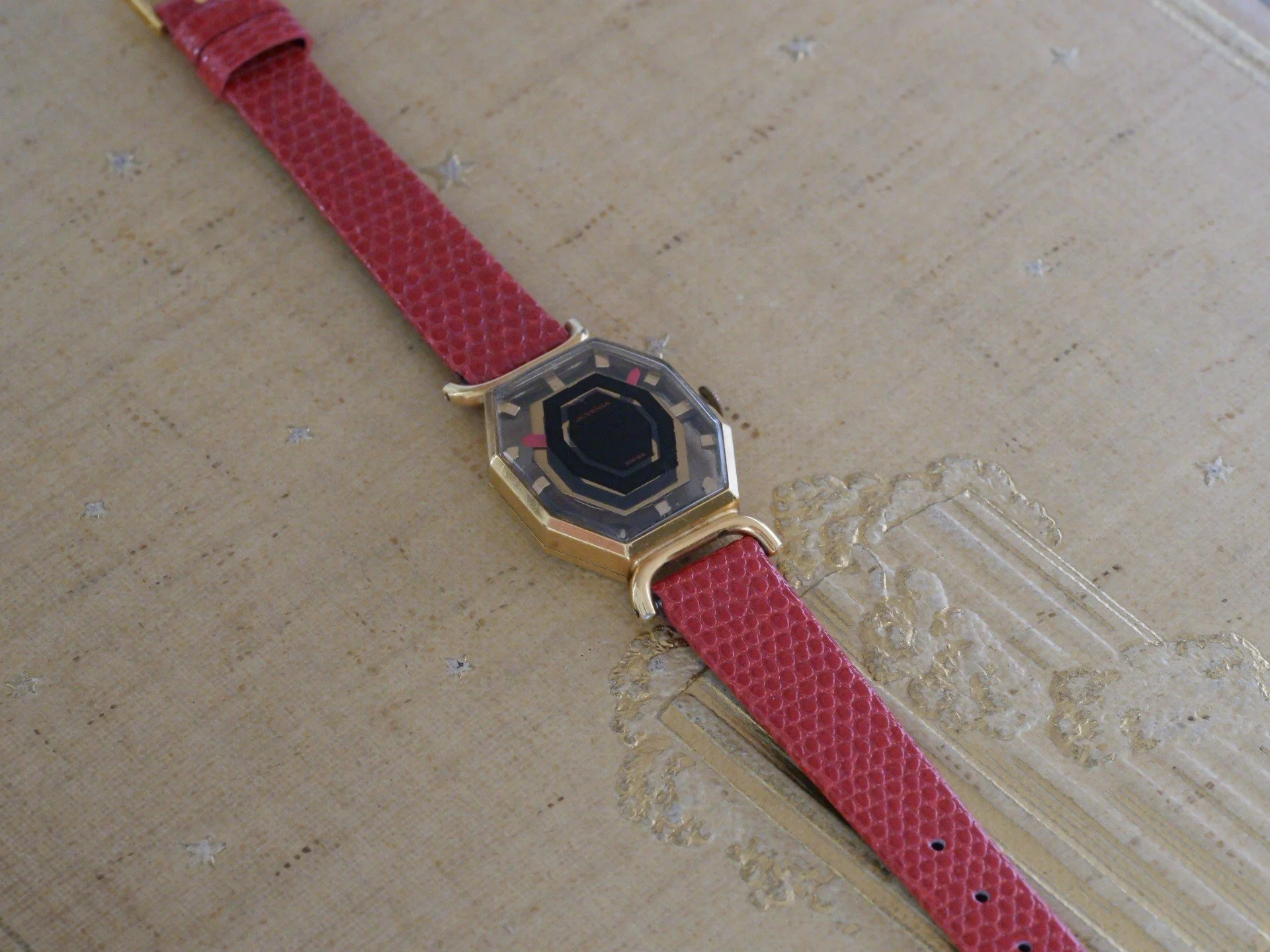 P1055863.jpg