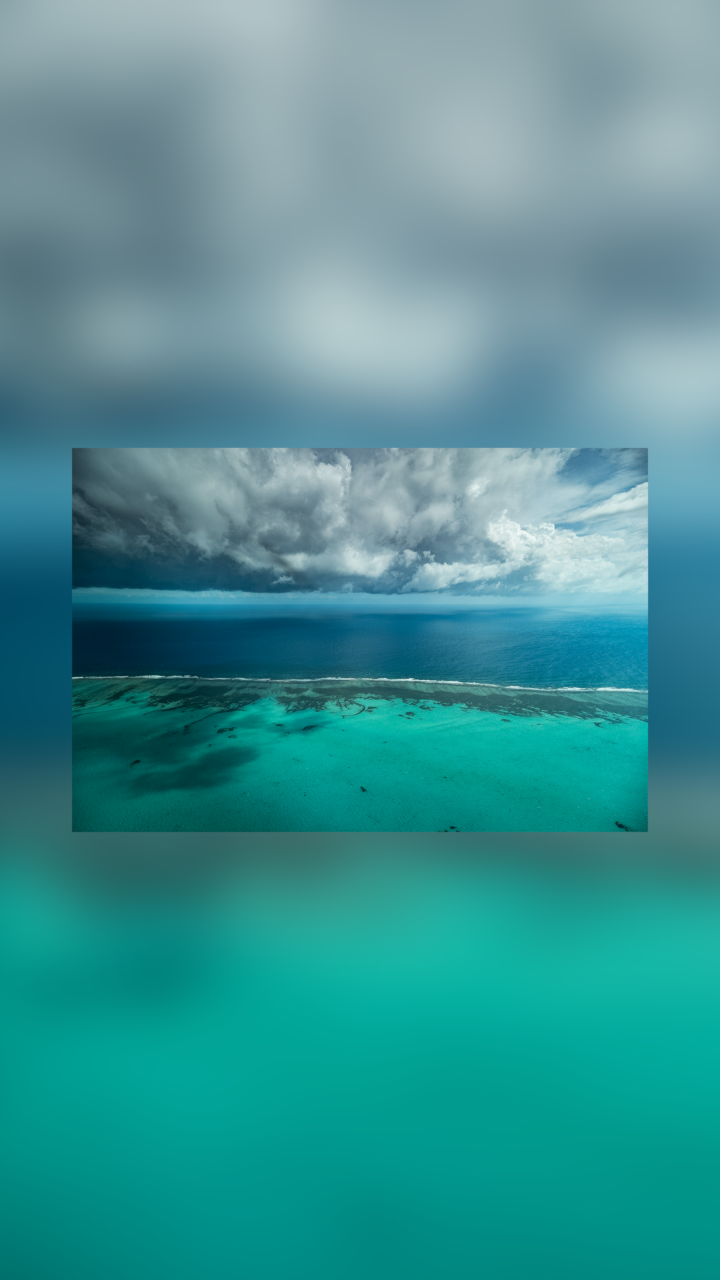 Caribbean Reefs